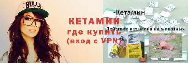 спиды Пересвет